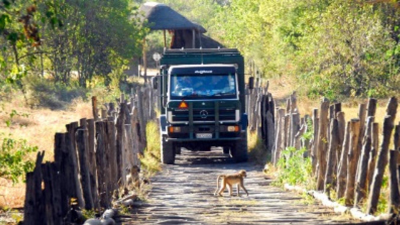 Overlanding into Mozambique opens up an array of experiences one might not experience otherwise.