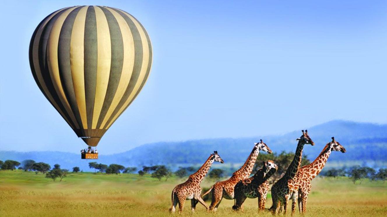 Visitors to the Serengeti can watch the migration from above from December to March.