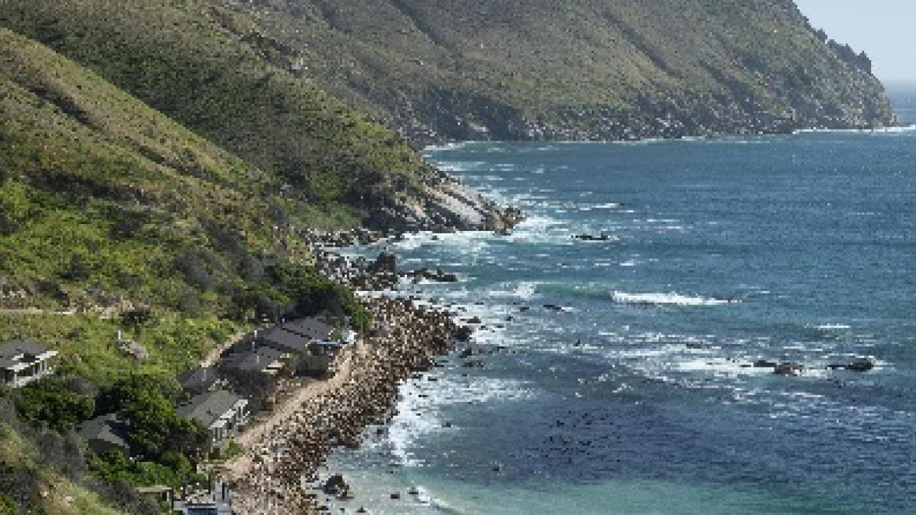 Tintswalo Atlantic introduces a half-day tour for children.