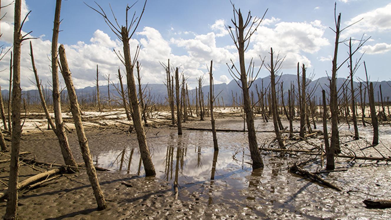At the peak of the tourist season, international tourists on average add less than 1% to the overall population of the Western Cape