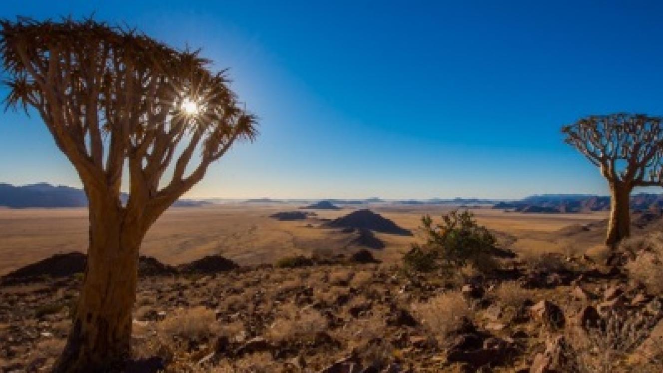 Sossus Under Canvas to open next year April in Namibia. Photo credits: Ultimate Safaris.