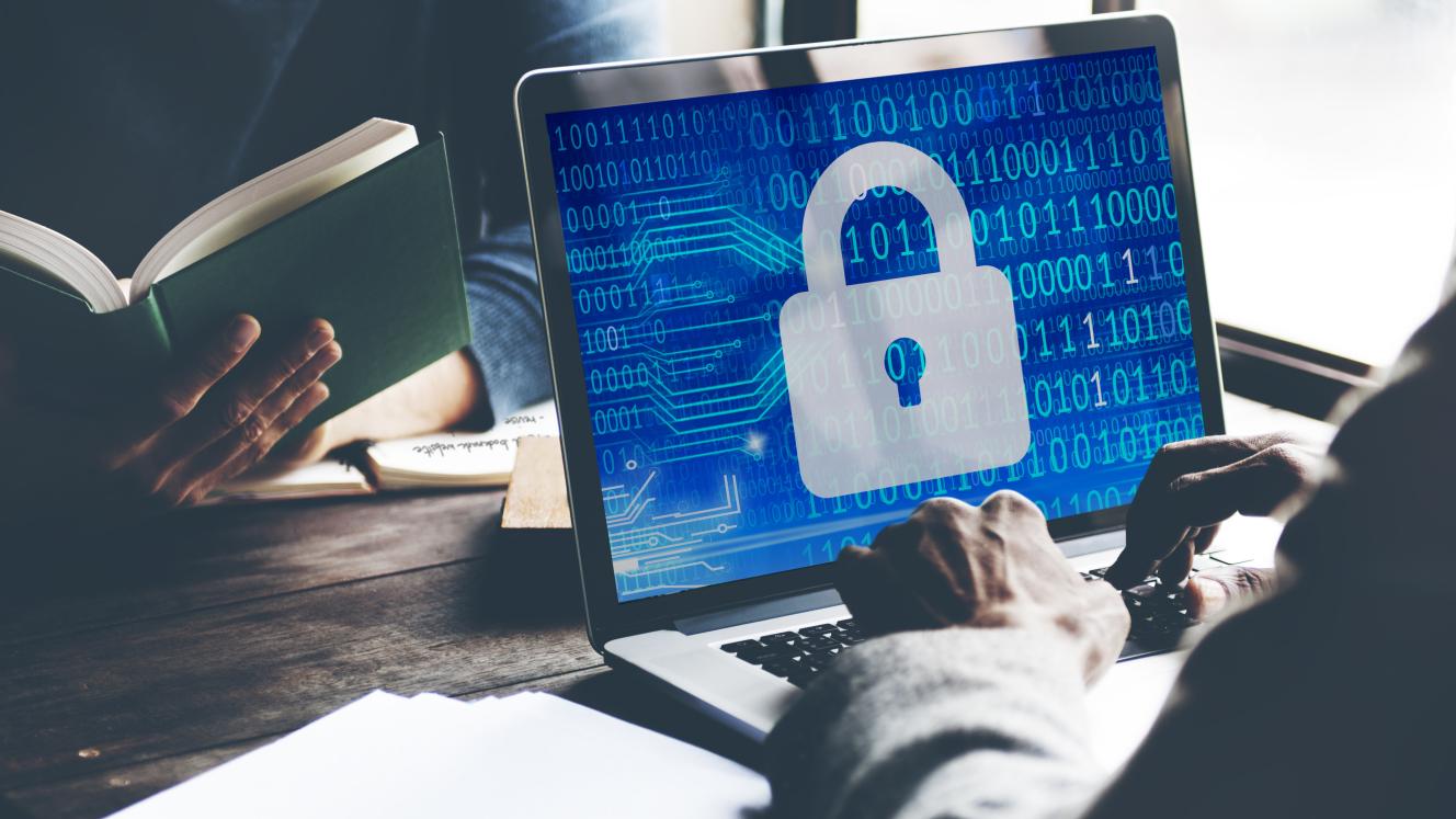 Cyber piracy in the tourism industry is fast becoming a major problem, with websites mimicking those of legitimate reserves and lodges.