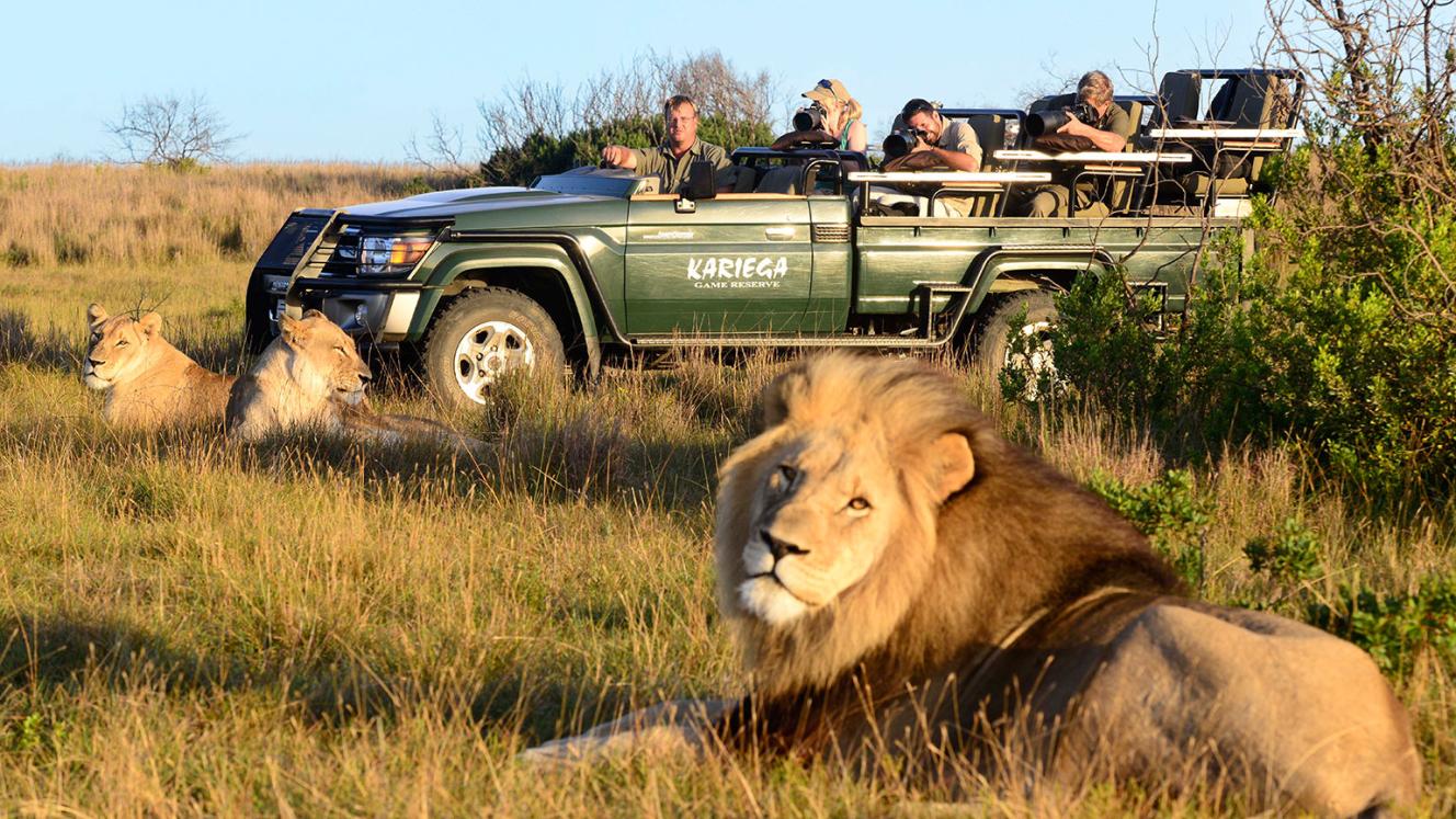 Wildlife experiences were among the top-three activities sought by international visitors to the Eastern Cape in 2016.