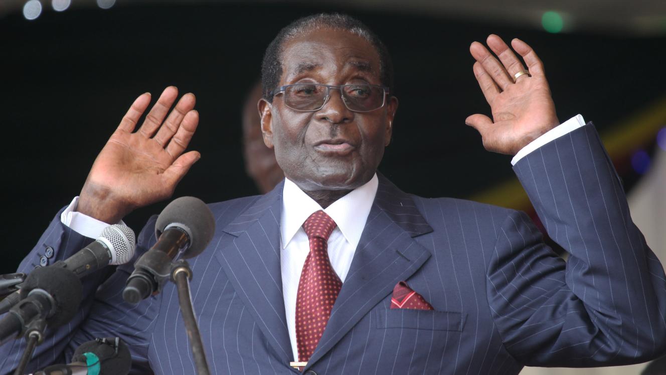 Mugabe was accused of allowing his wife to "usurp" power and of being too old to rule. 