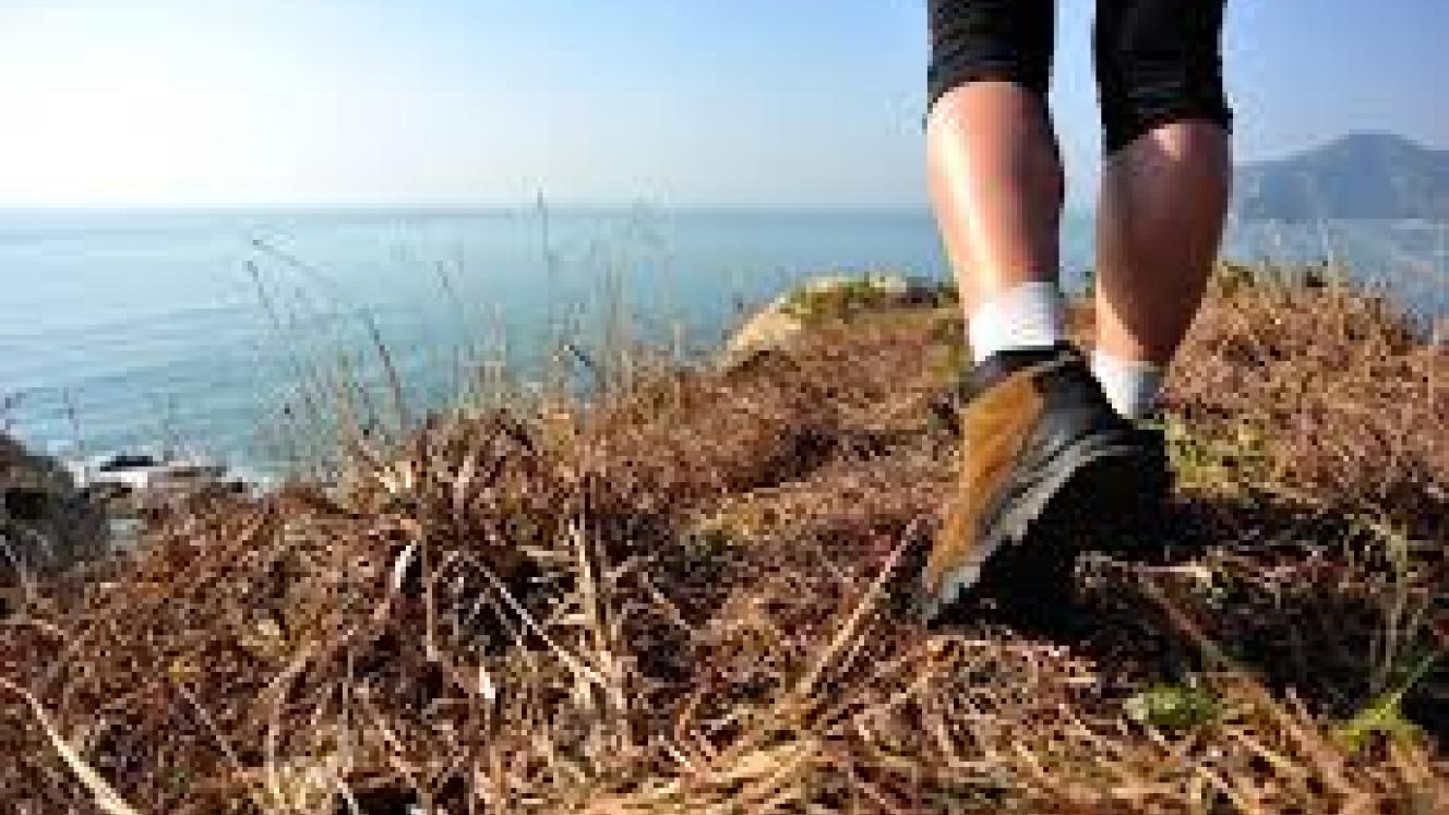 The Harkerville area starts to resume activities after the Knysna fires.