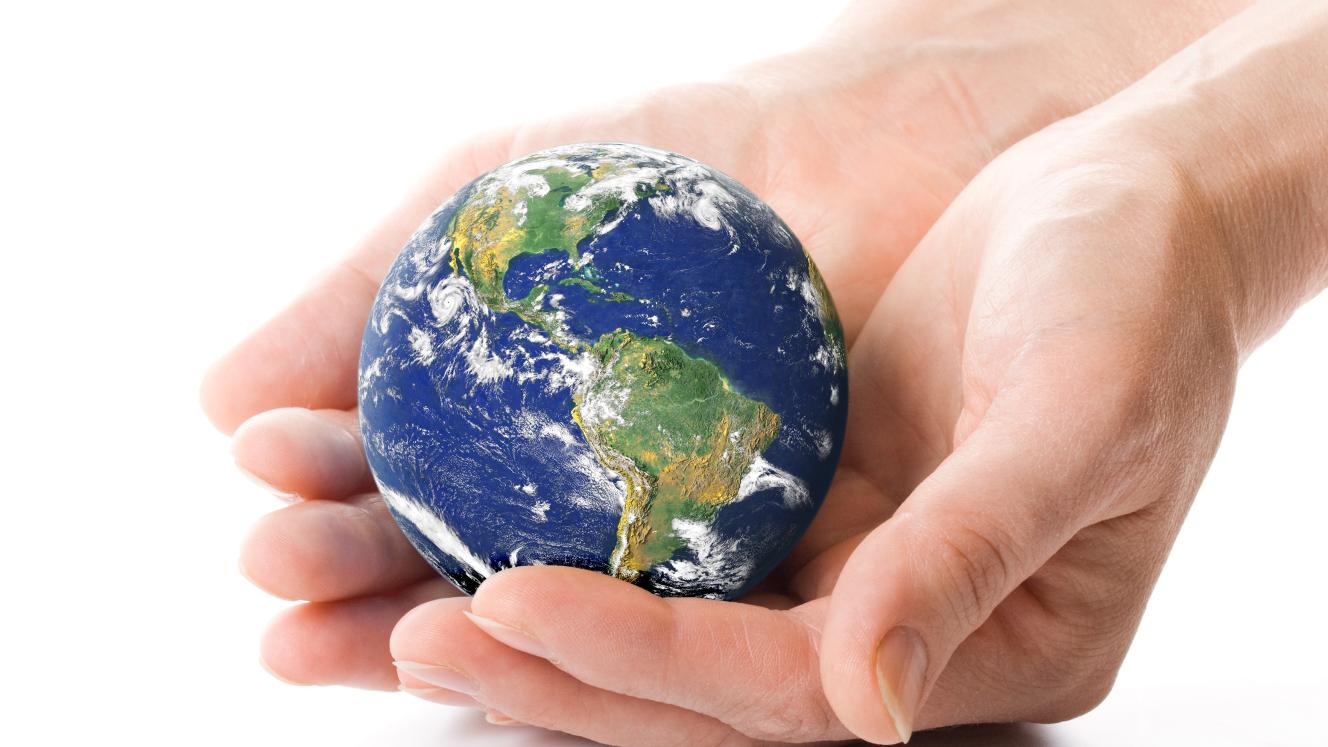 Paul Zille has been appointed CEO and will take up the position from January 1.