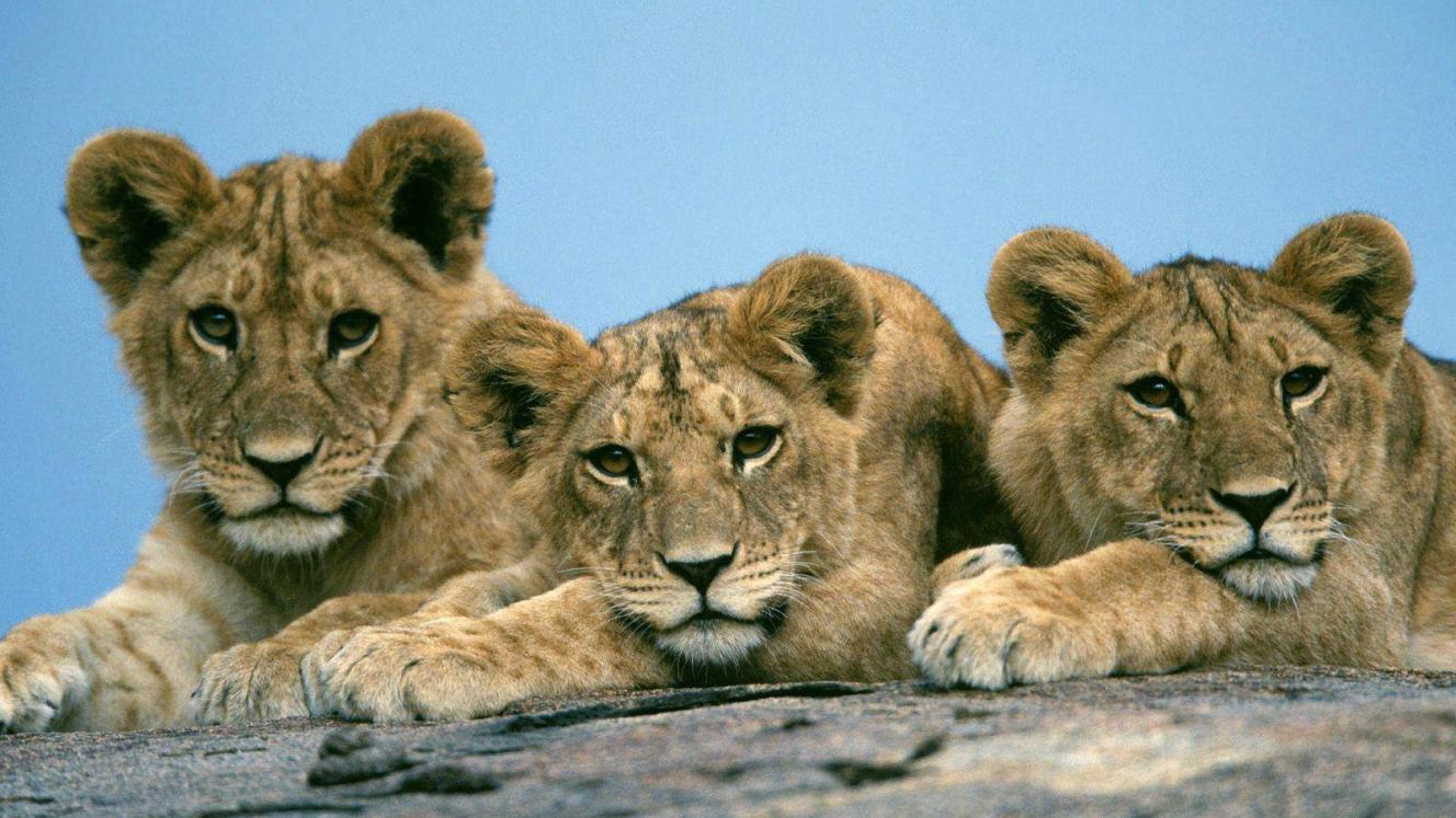 “This is how we managed to push tourism for over 50 years before the Tourism Act was enacted.”