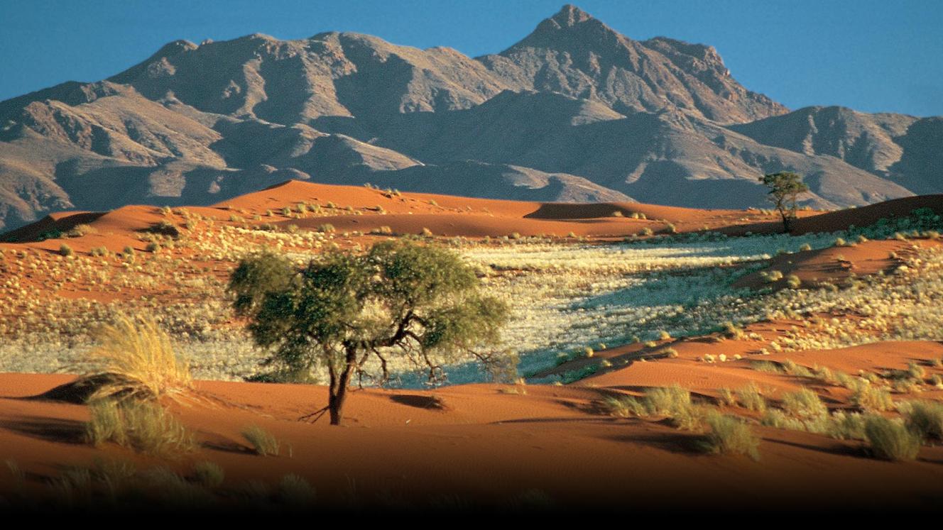 The German market grew by 35% over the period.