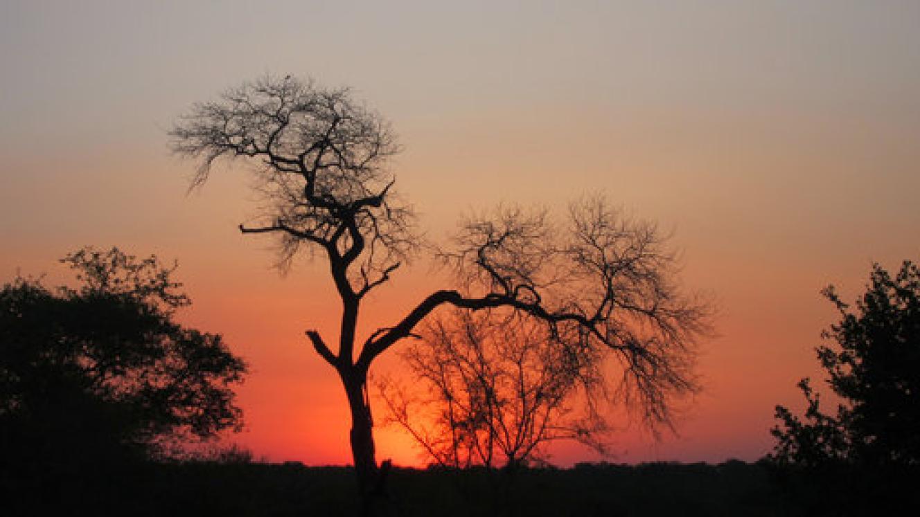 The lodge will share unfenced borders with the Kruger National Park and feature nine riverfront suites.