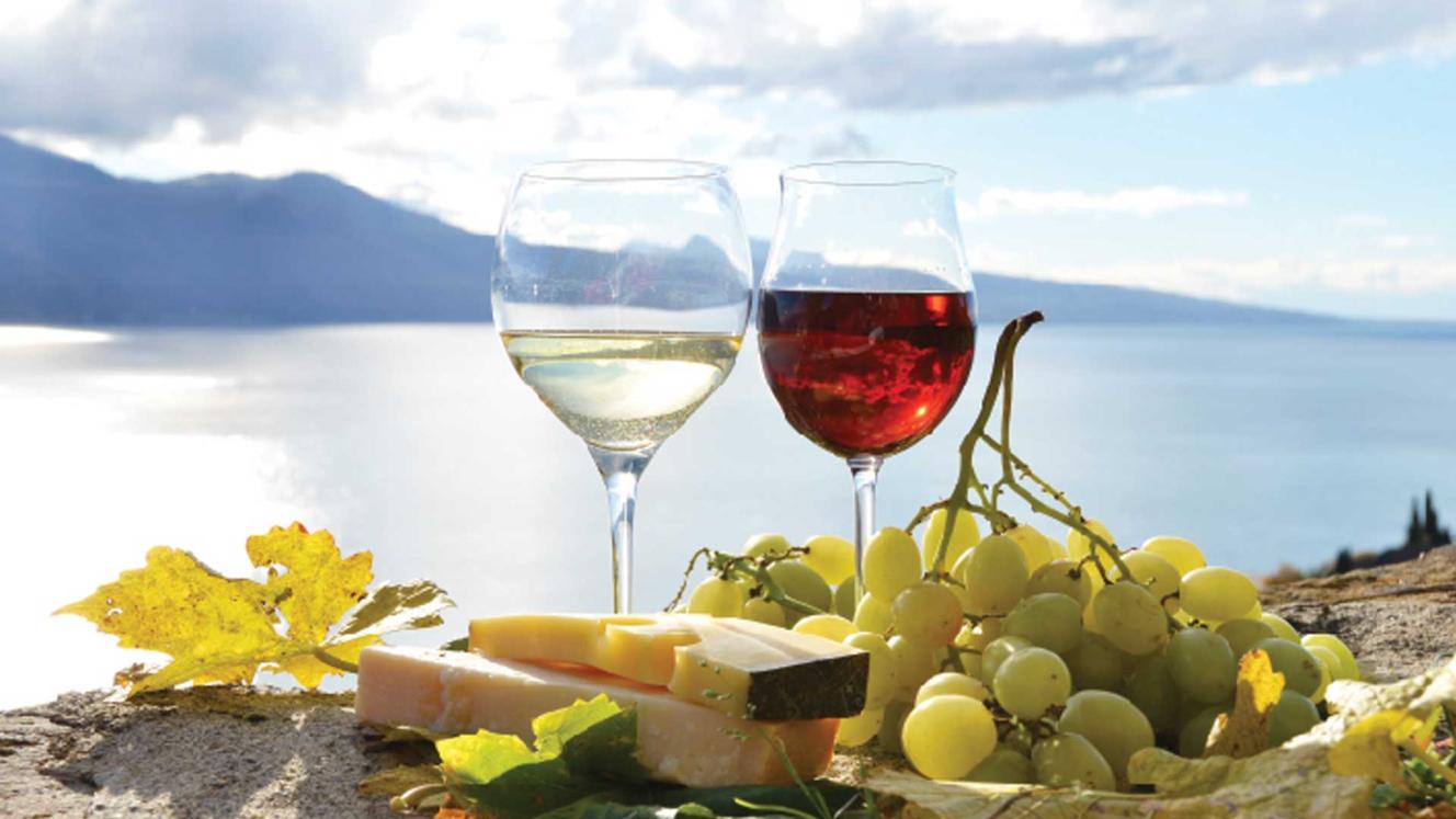 The new partnership will leverage South African wine regions and brands to strengthen the entire sector