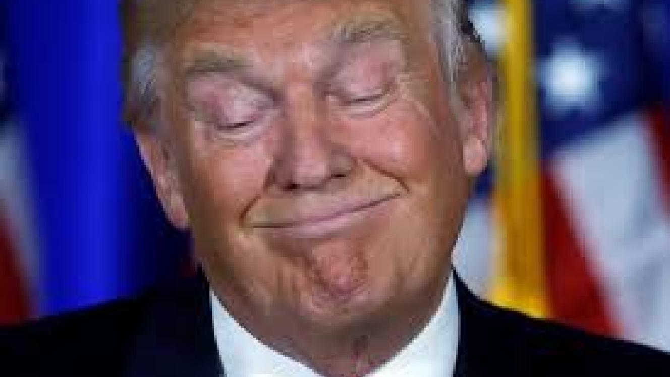 Gondwana Collection responds to Trump’s outlandish statement with a quick-witted video.