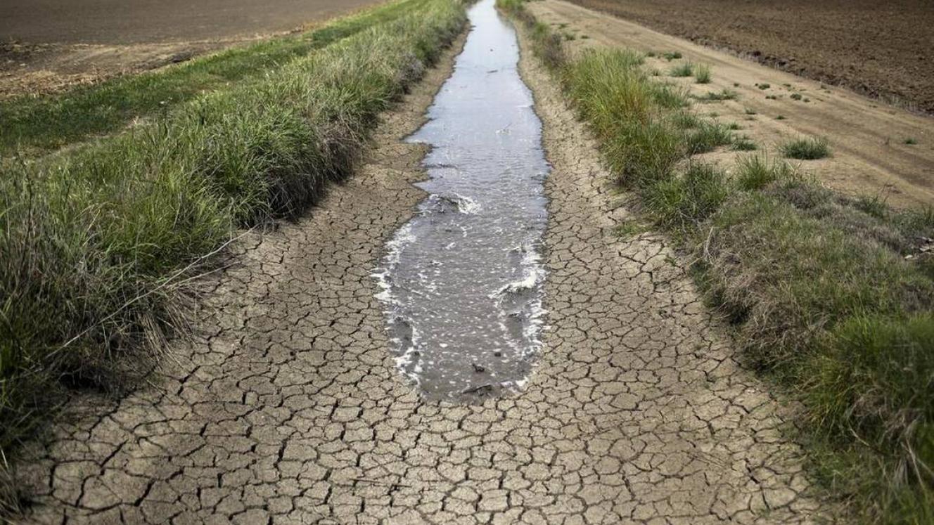 The average dam storage across the province on January 4, 2018 is 29.1%