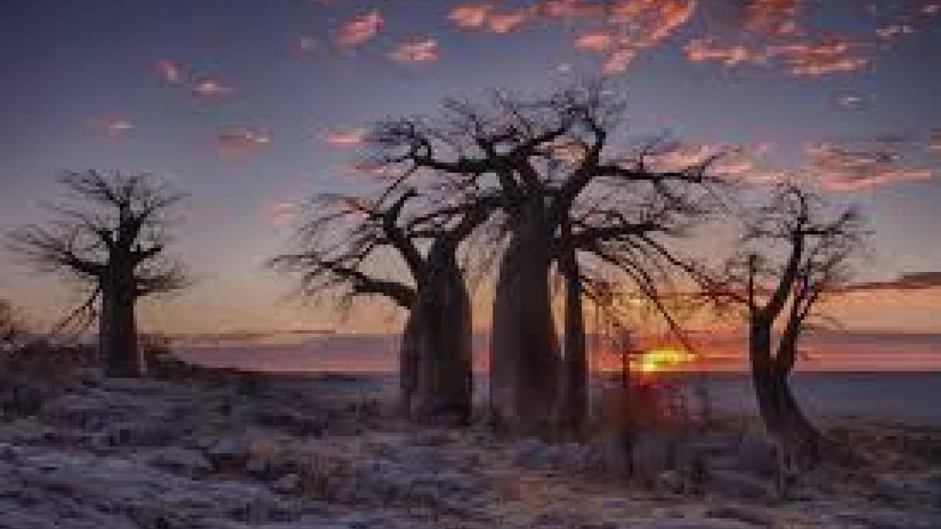 Botswana’s tourism sector contributed 4.9 % to the economy in 2016 compared with 3.9 % in 2009.