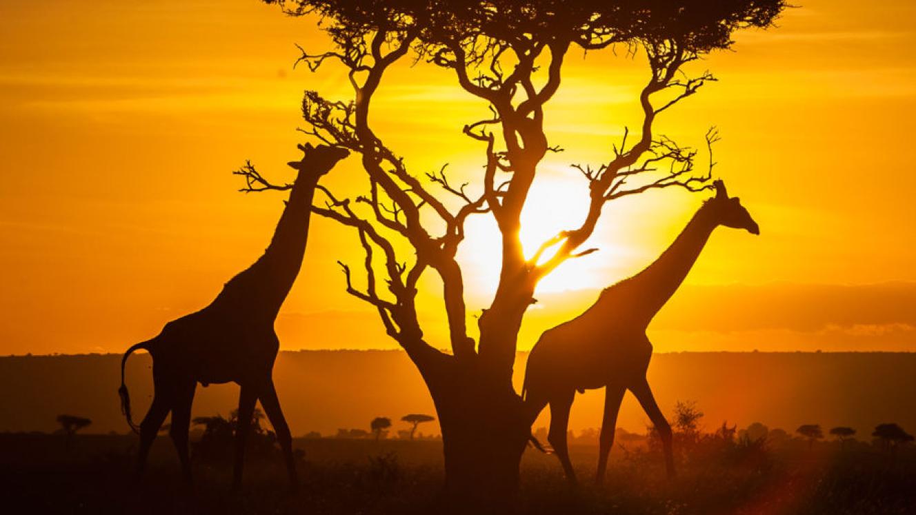 County governments are now required to identify two tourism products that will be packaged as national attractions by the KTB