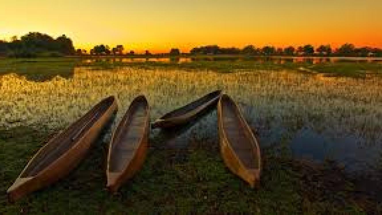 Low water levels in the Delta have resulted in various camps suspending mokoro activities. 