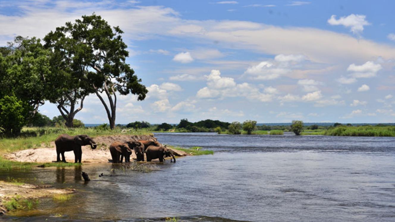 Great Plains Conservation has expanded its footprint in Zimbabwe with the launch of the Mpala Jena Camp. 