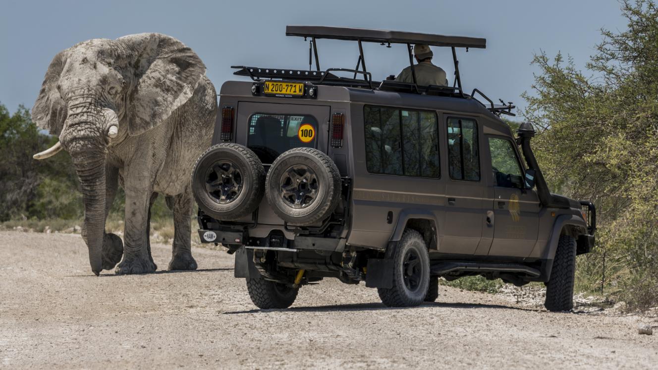Orlando Safaris offers safari vehicles that have been specially selected for comfort, safety and reliability.
