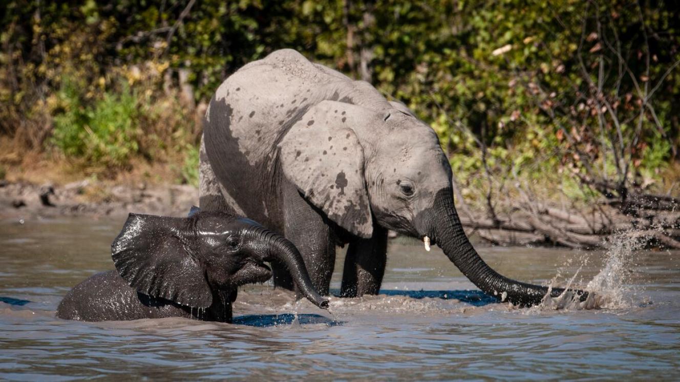 The lodge will open in April with nine canvas and thatch tents, including one family tent