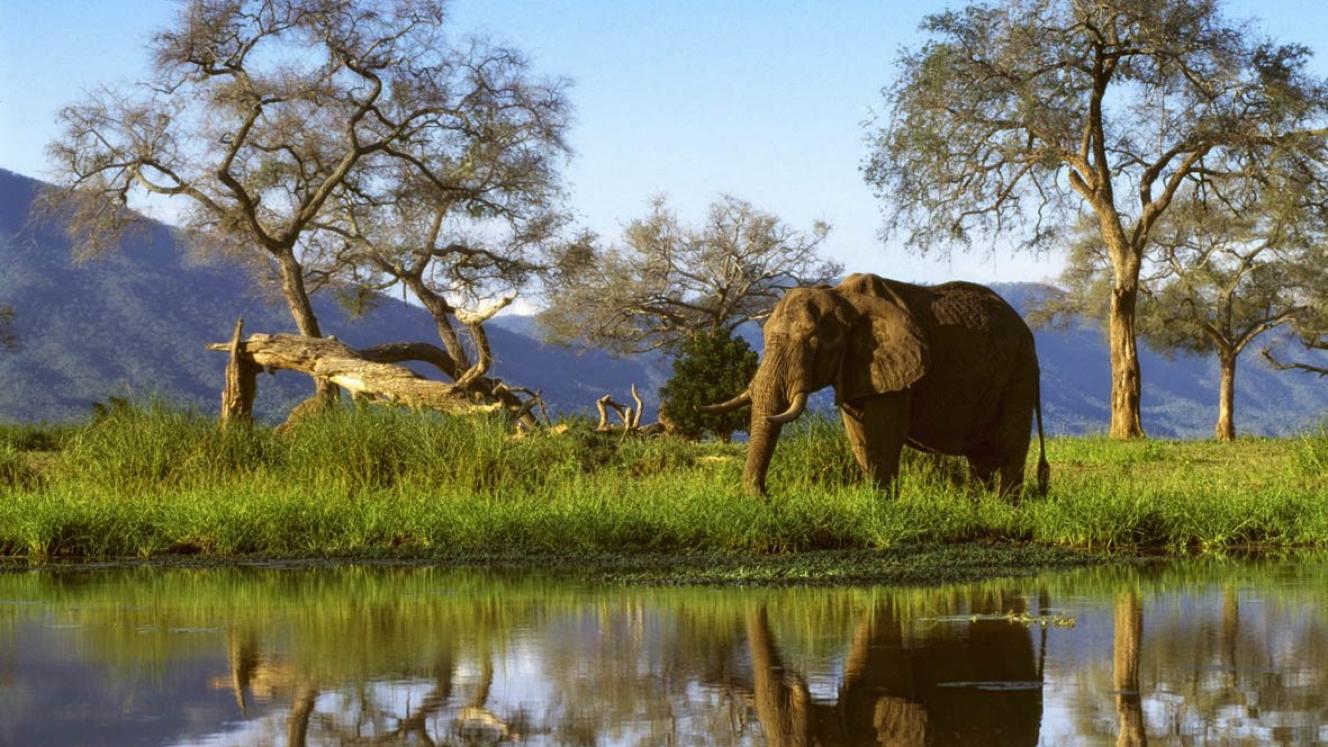 Zimbabwe Tourism Authority said a full list of the 29 countries in Category B would be made available soon.