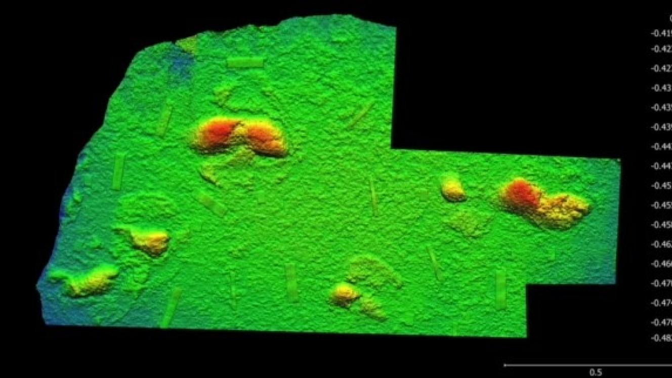 3D image of a portion of the northern surface (courtesy of Richard McCrea)