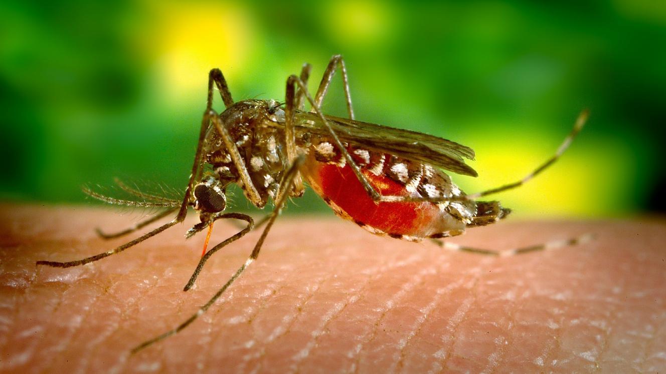 21% increase in reported malaria cases in Mozambique from 2016 to 2017.