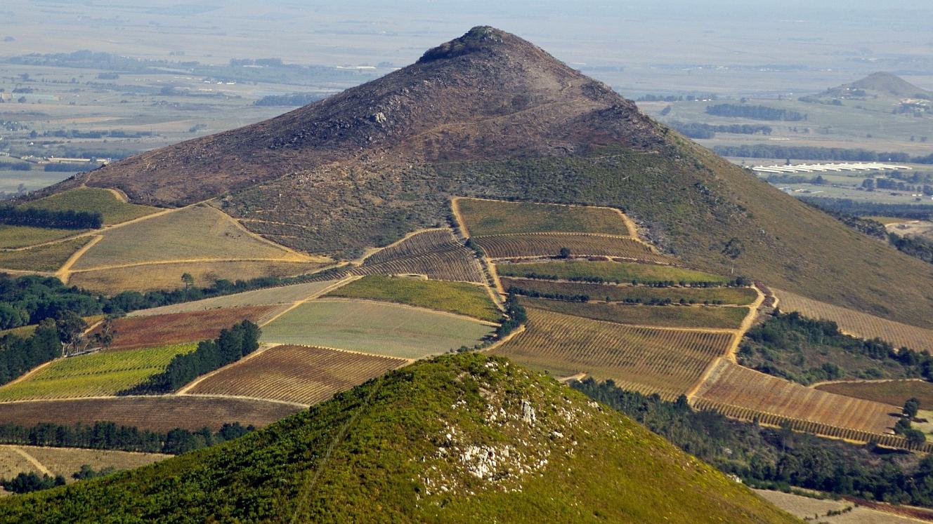Land expropriation without compensation and its effects on tourism.