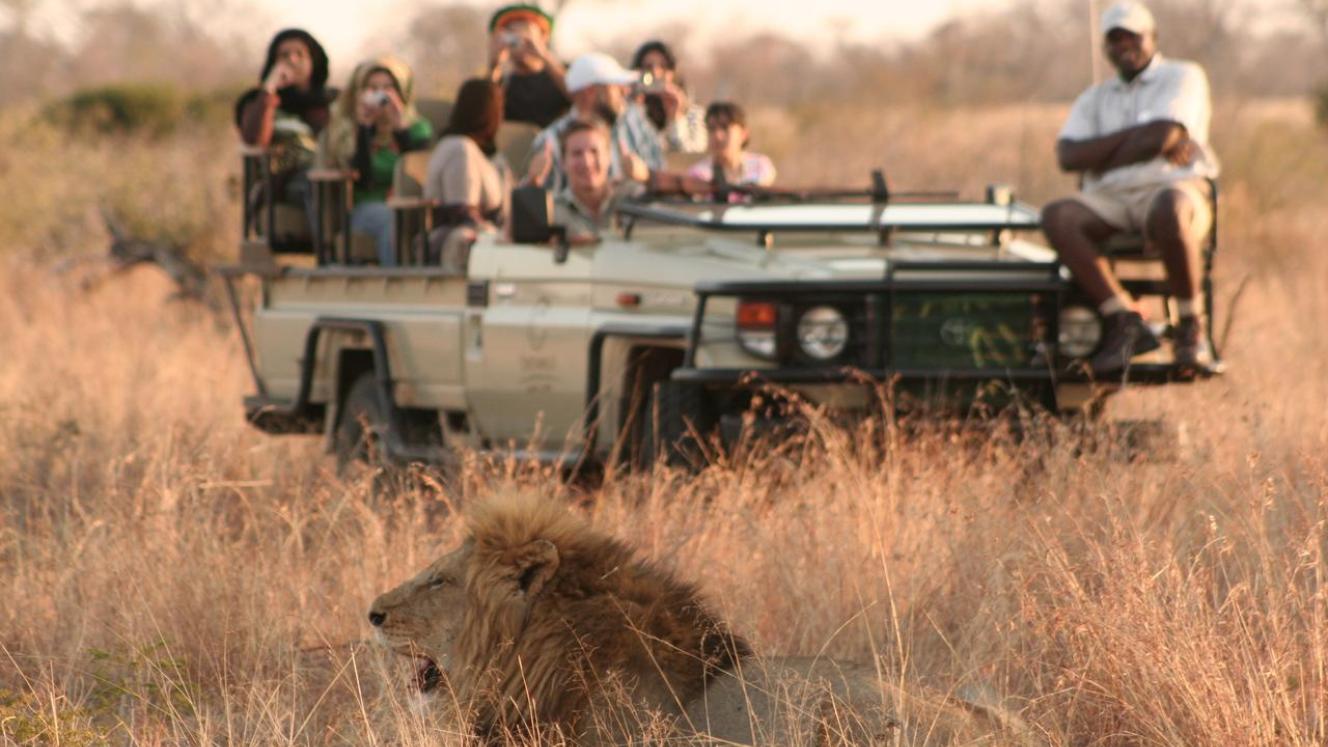 Q&A on electrically-powered game vehicles. 