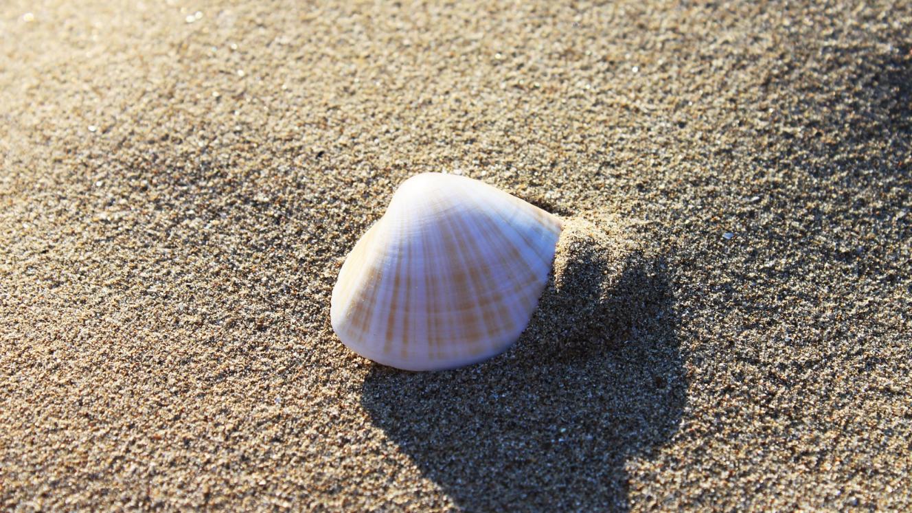 The Eastern Cape is home to six operational Blue Flag beaches. 