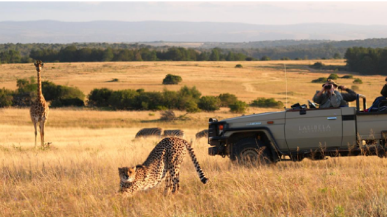 Free-roaming wildlife at Lalibela in the Eastern Cape.