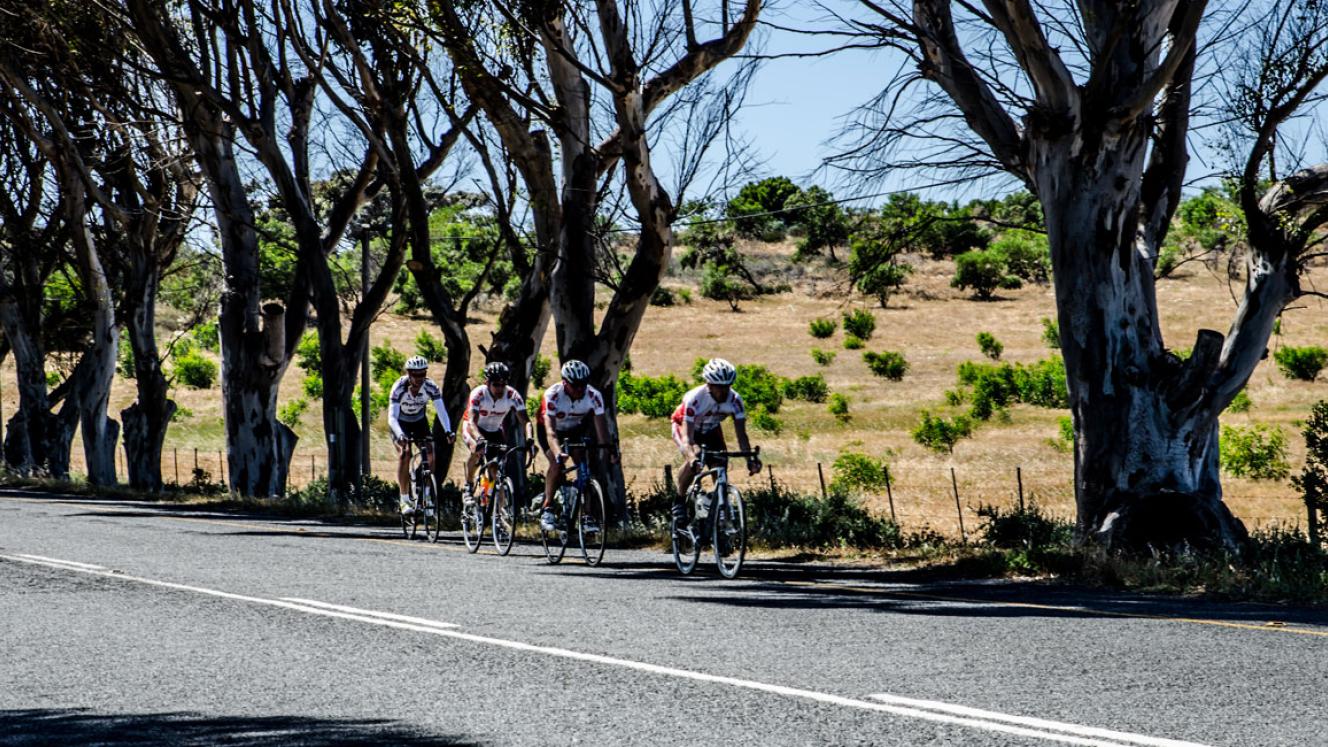 Yzerfontein offers picturesque views for cyclists (image courtesy of West Coast Way)