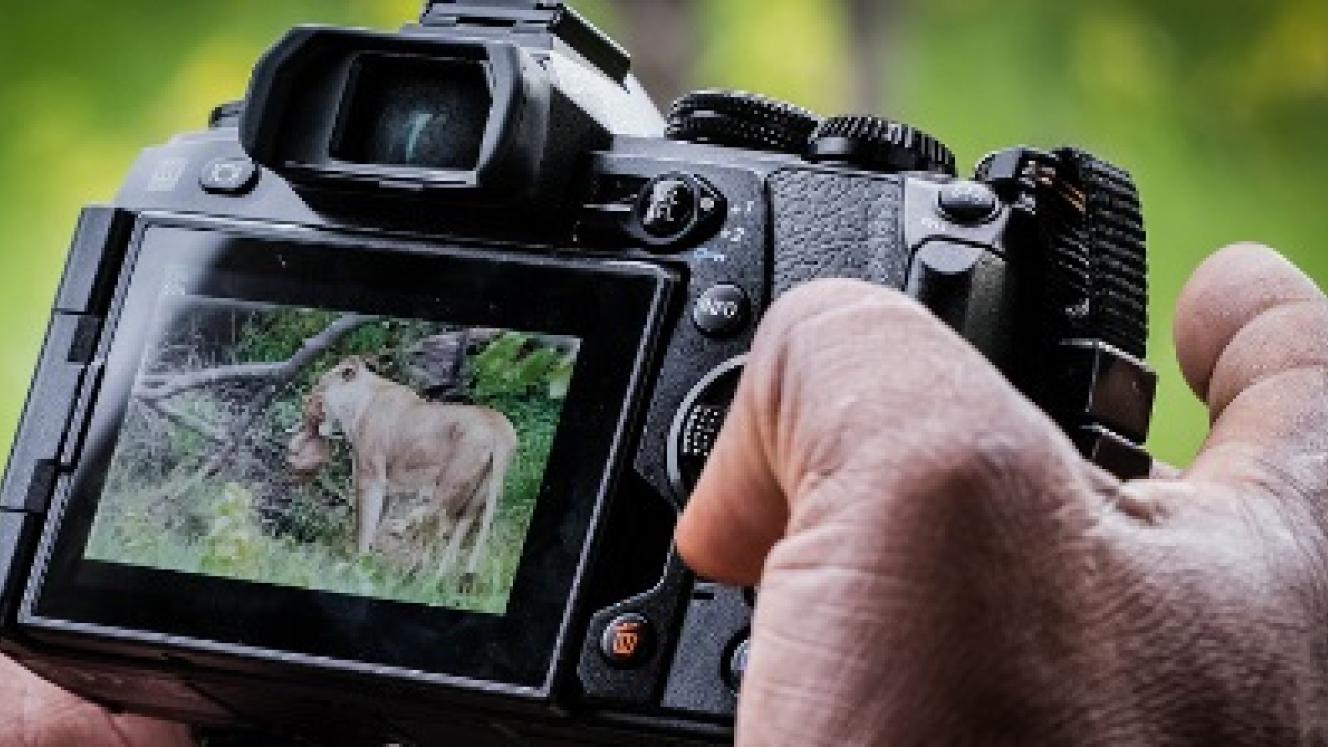 Wilderness Safaris has partnered with Olympus, combining high-end services with wildlife photography to ensure ongoing conservation in Africa.