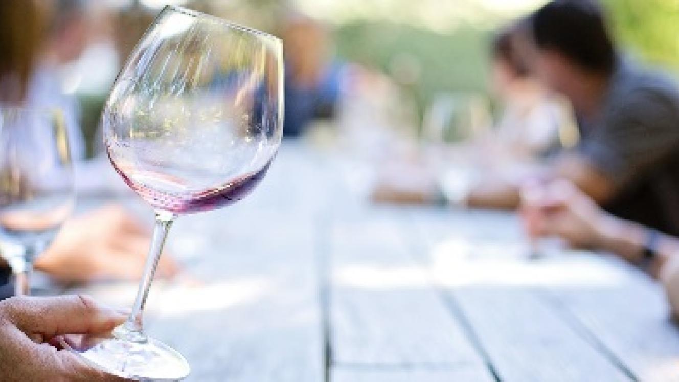 Wine tourism shows positive growth in the Western Cape, with a 16% increase.