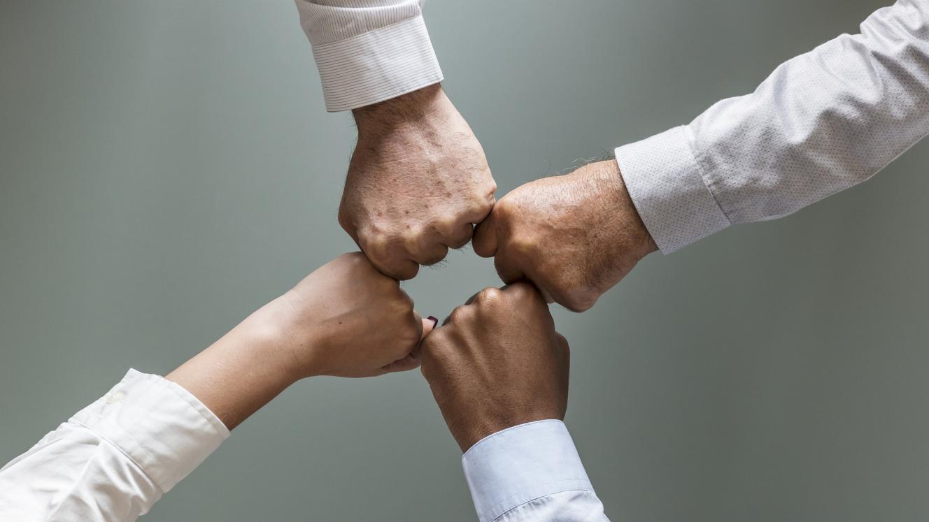 Working together with Zimbabwe tourism stakeholders to build a national tourism strategy.