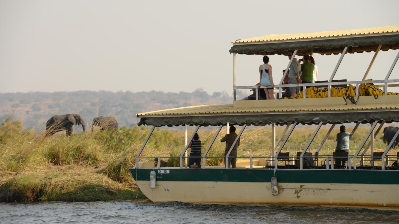 A boat cruise down the Chobe river. 