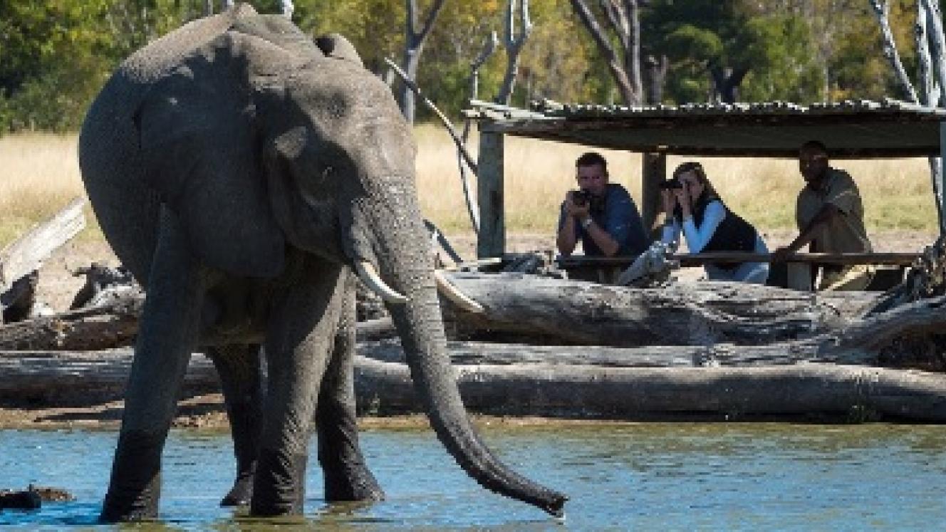 Little Makalolo Camp in Hwange will be rebuilt and is set to reopen in June.