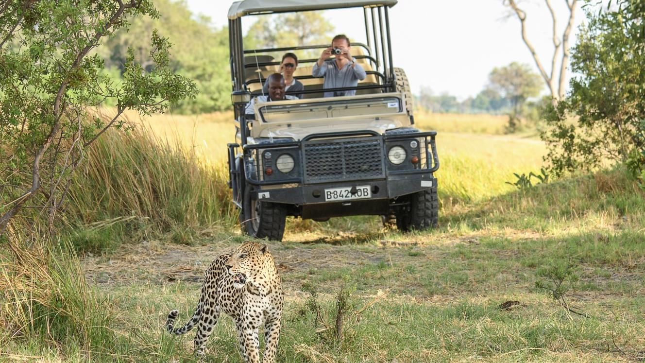 Each season offers different game-viewing opportunities.