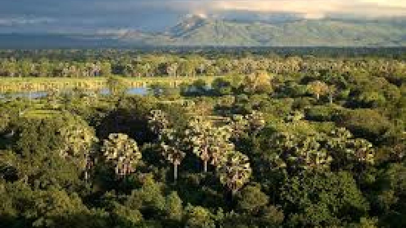 The adjoining reserves create an extended haven for wildlife.