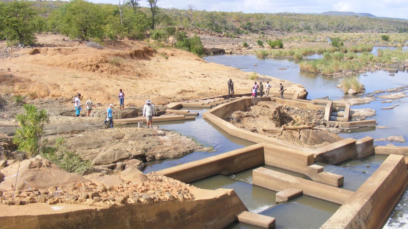 The Kruger National Park will be hosting World Fish Migration Day, highlighting the importance on migratory fish and free flowing rivers. 