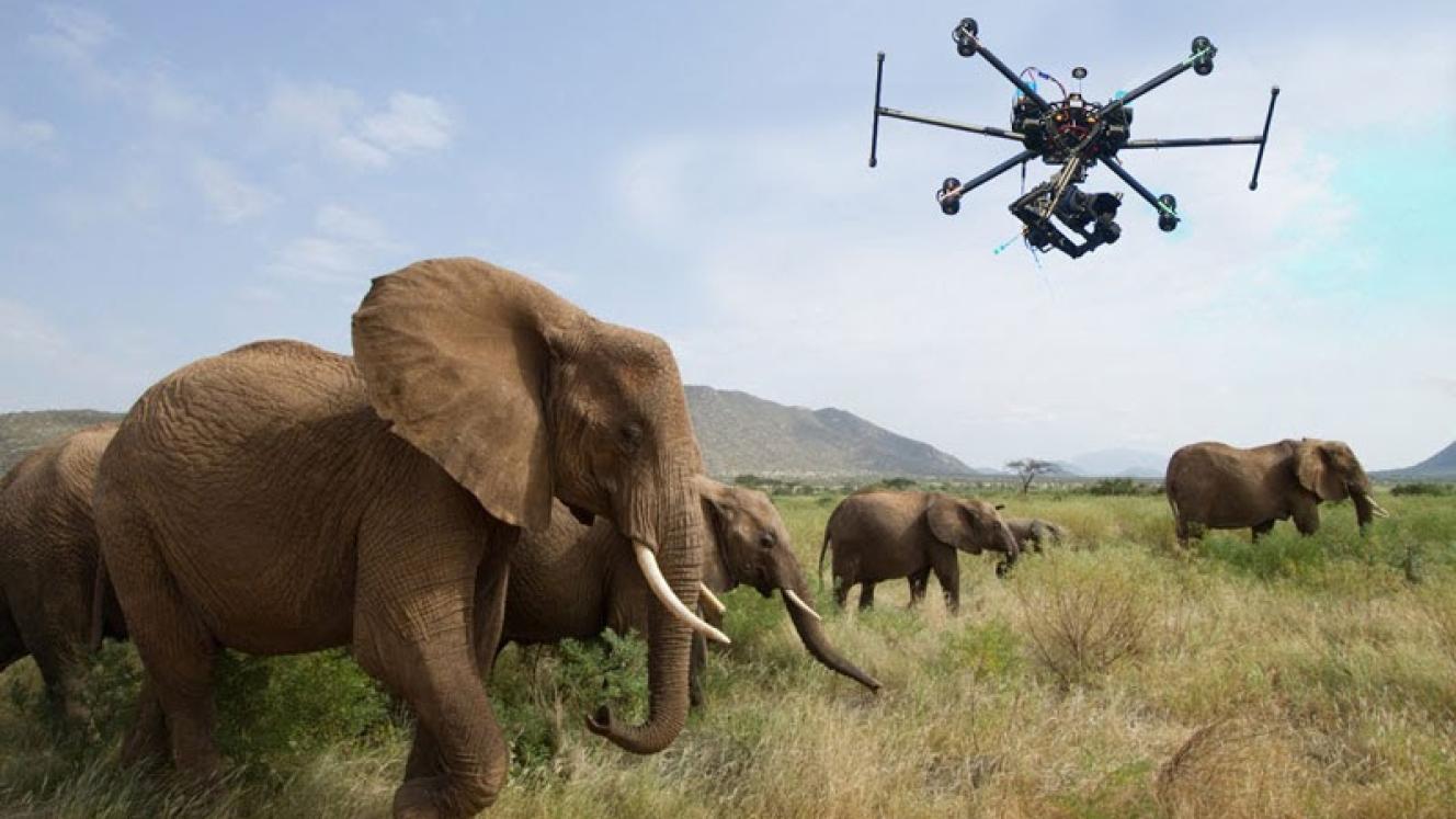 Malawi to use drones in the fight against wildlife crime.