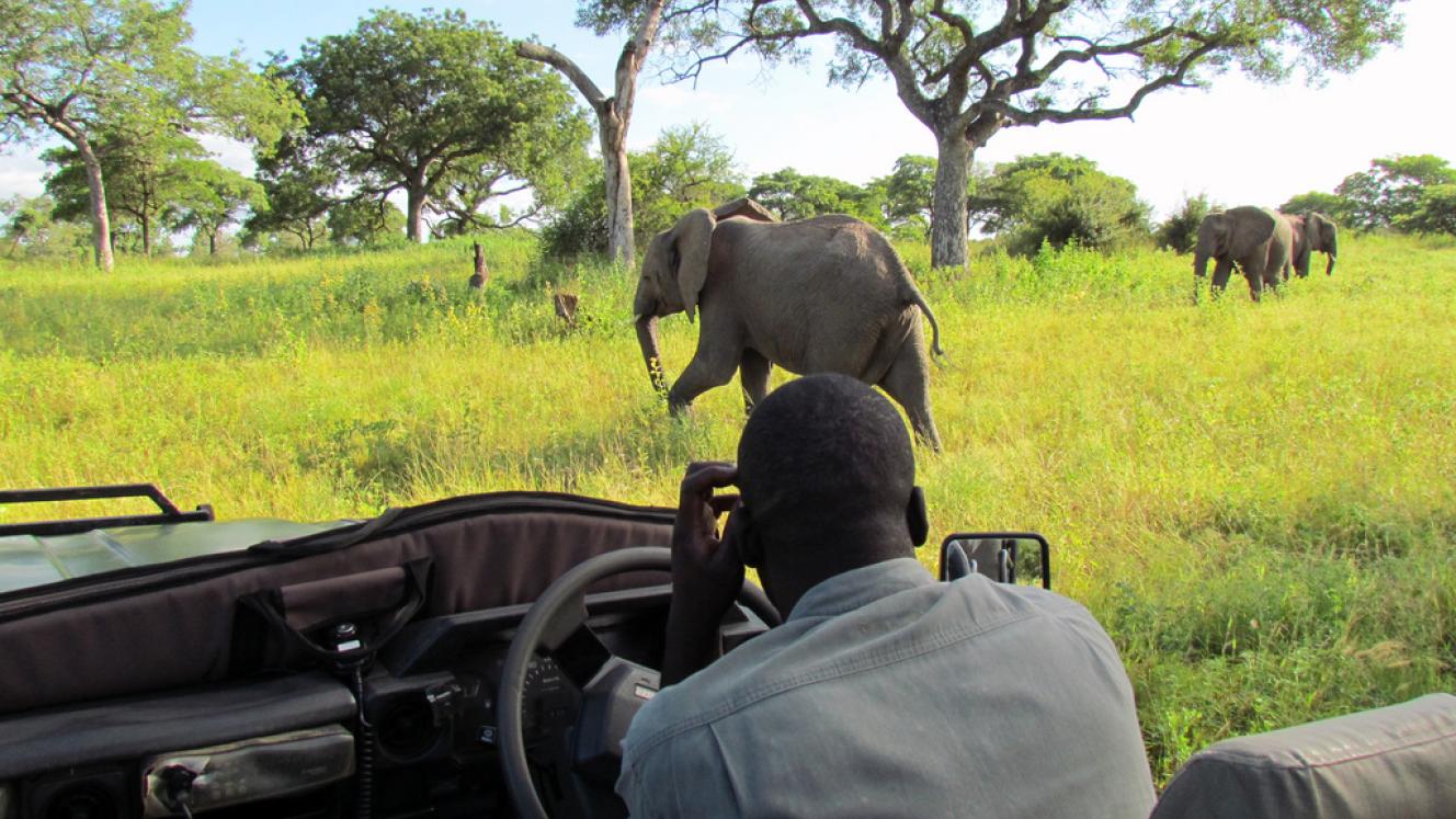 G20 members commit to creating jobs through tourism.