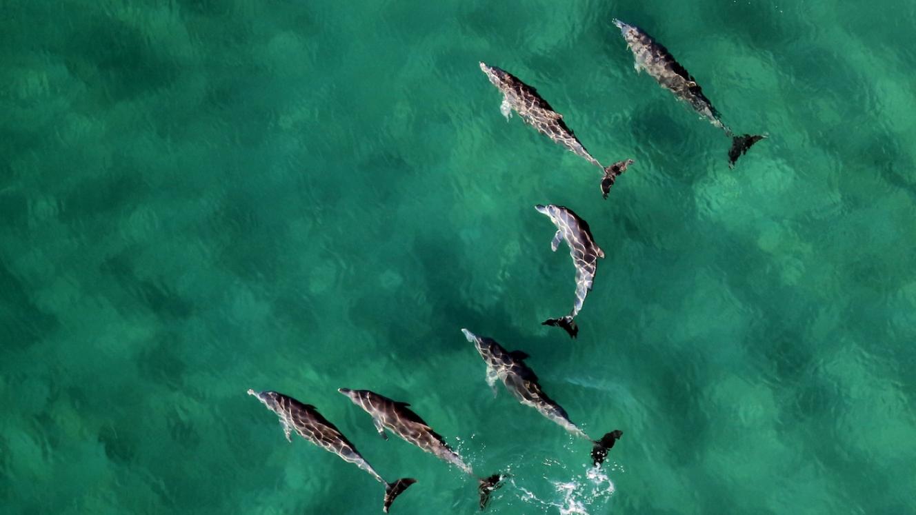 Marine and coastal tourism has the potential to unlock further economic benefits for Nelson Mandela Bay.