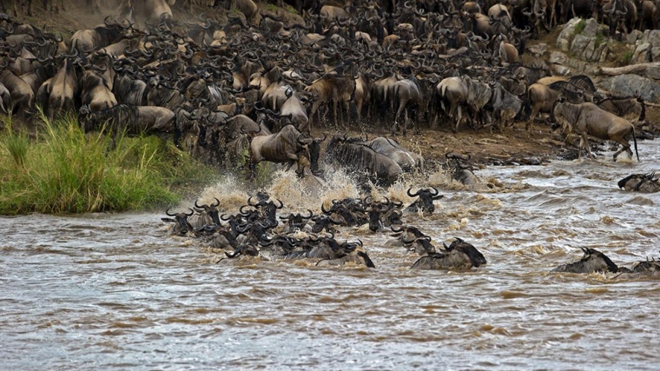 New Serengeti luxury camp opens in time for Great Migration.