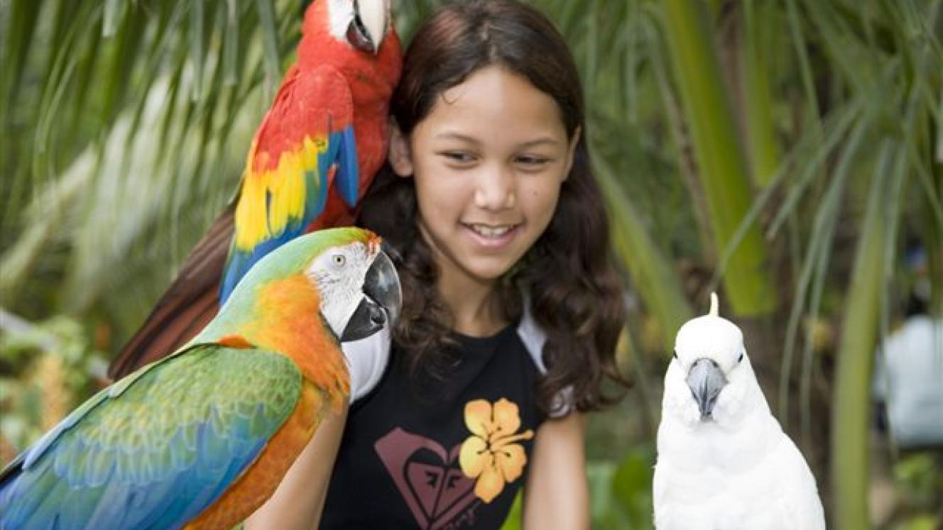 40-year-old bird park could close.
