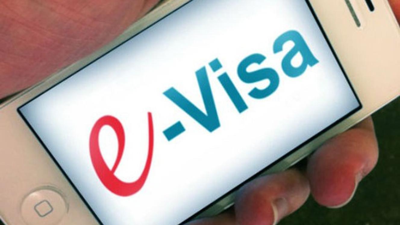 SA electronic visas to be introduced by end of current financial year.