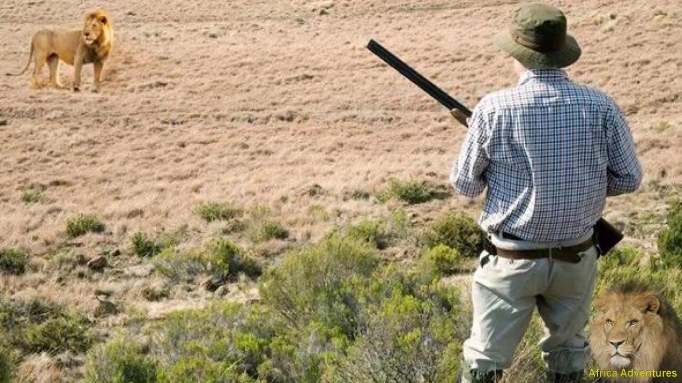 Trophy hunting – a tool for conservation?