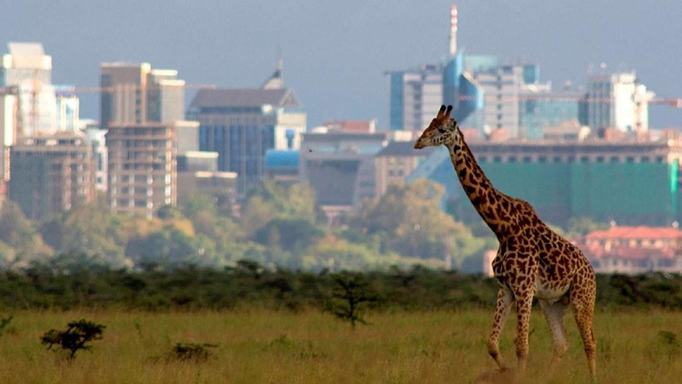 Kenya Bureau of Statistics records an increase in international tourism in 2017.
