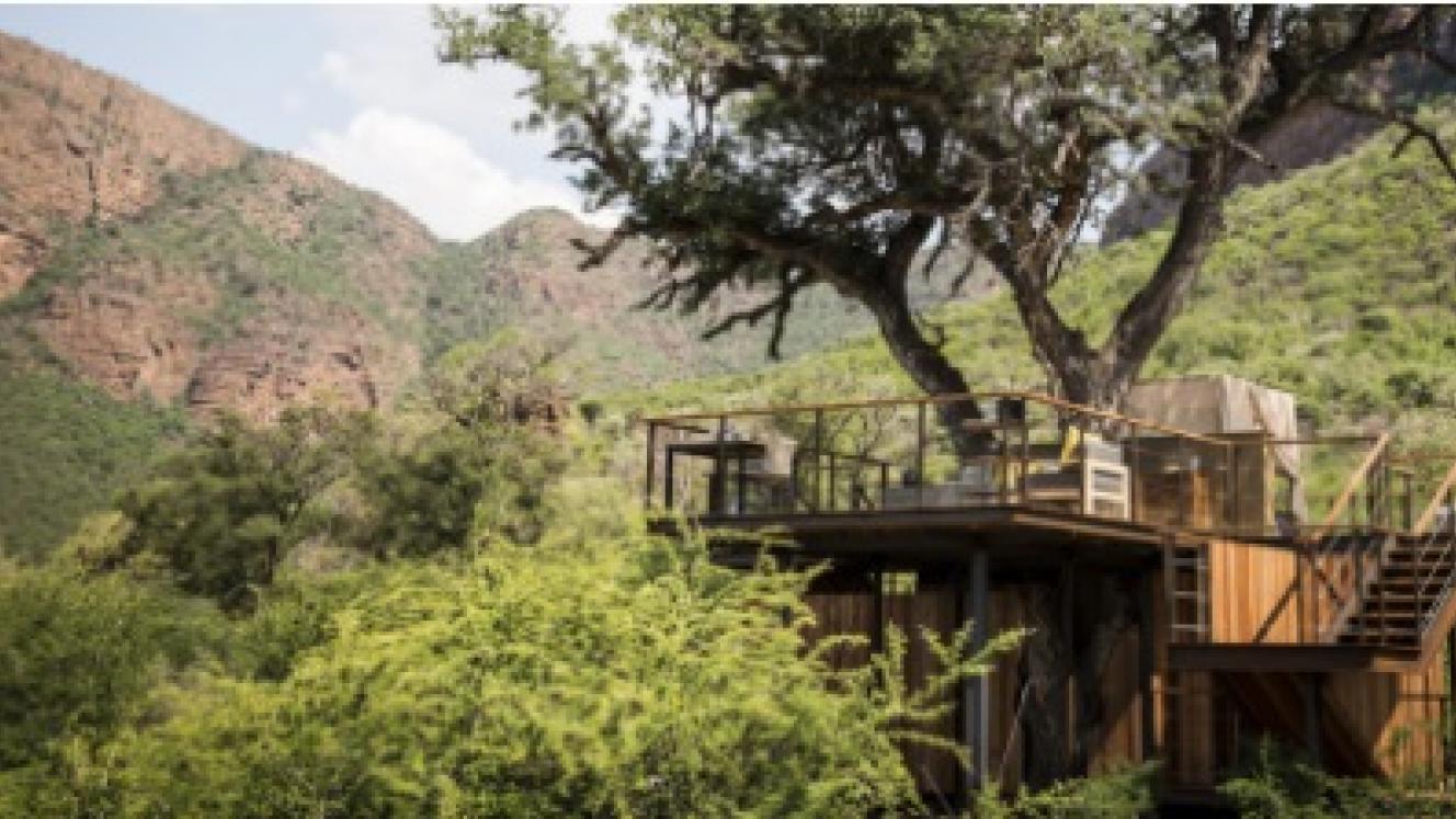 Thabametsi Treehouse is the latest addition to the circuit. Credits: MORE Group.