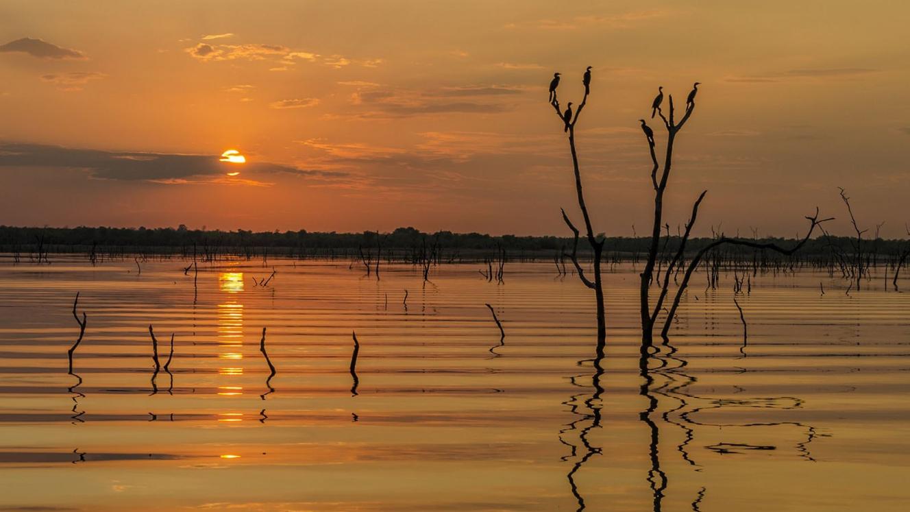 Zambezi Cruise and Safaris will launch its new cruise in 2019.
