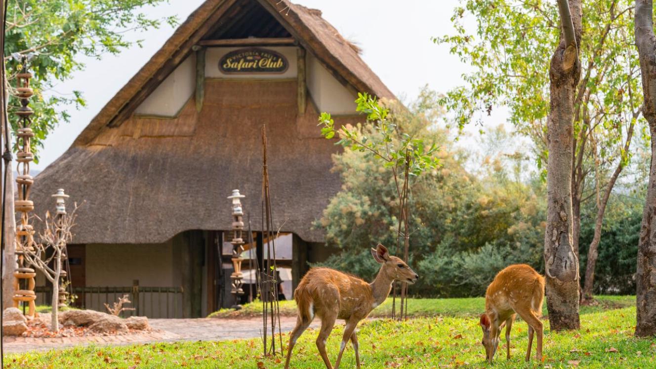 Victoria Falls Safari Club has opened after a refurb.