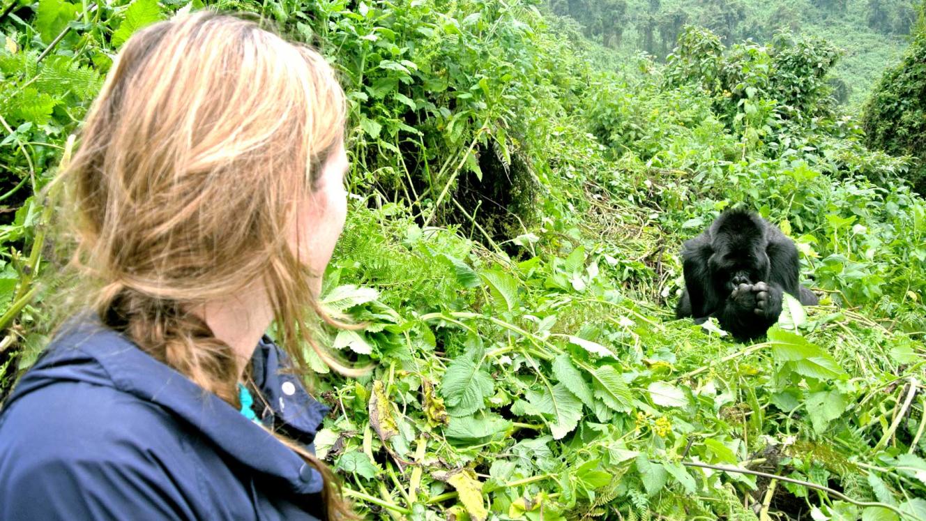 Rwanda is hoping to capitalise on growth from the UK market.